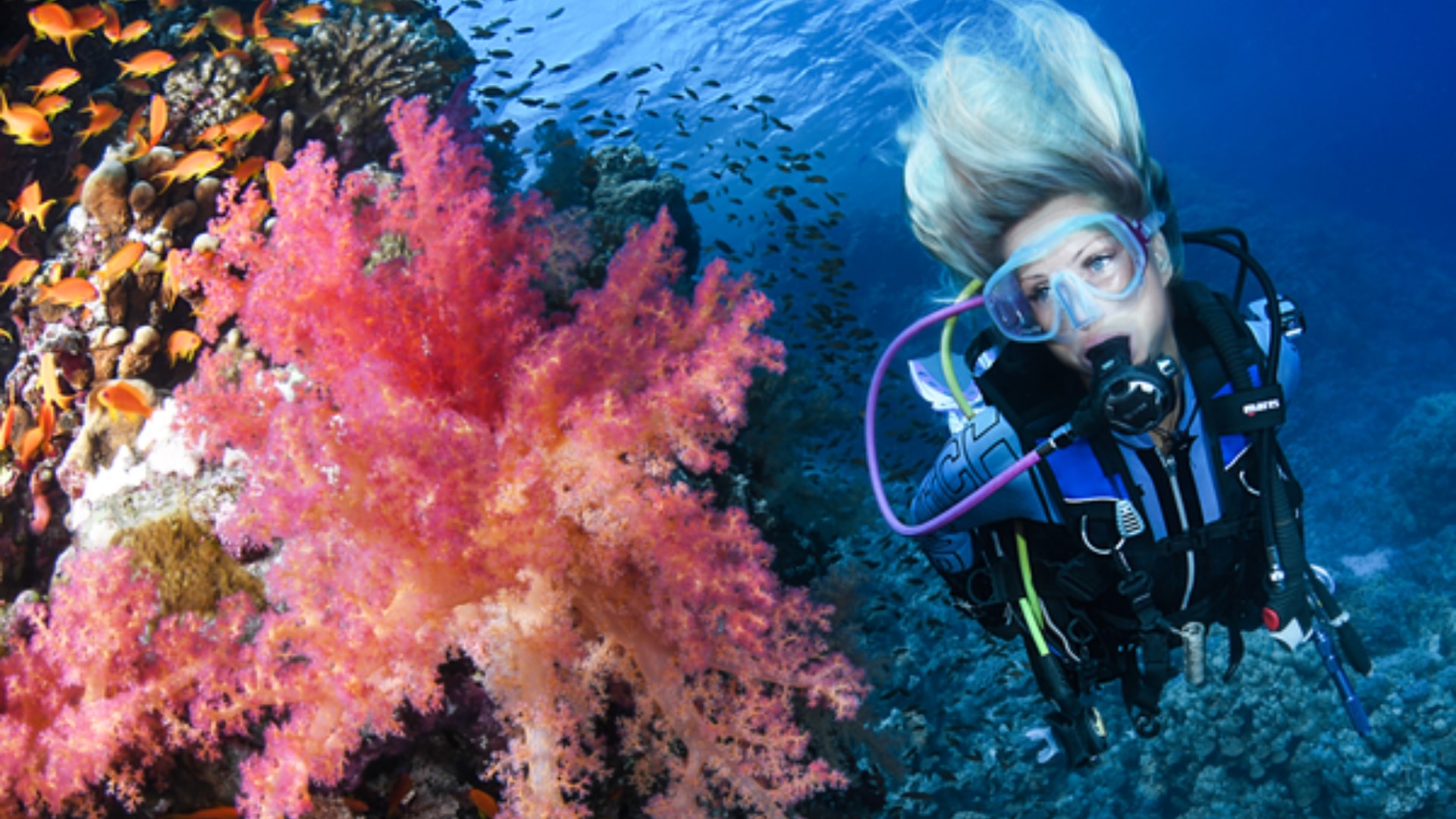 Vida a Bordo en el Mar Rojo: Ruta Norte y Pecios desde Hurghada